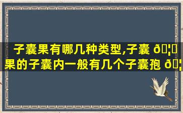 子囊果有哪几种类型,子囊 🦋 果的子囊内一般有几个子囊孢 🦢 子